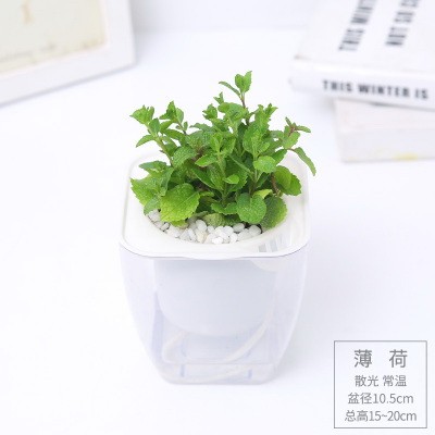 2026世界杯，世界杯买球网站，世界杯投注，世界杯外围买球，